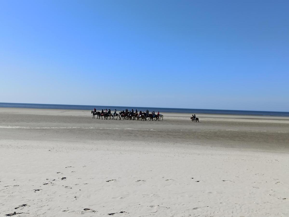 Gite Les Chalets Du Fliers Verton Meubles De Tourisme Classes 2 Etoiles Berck Eksteriør billede