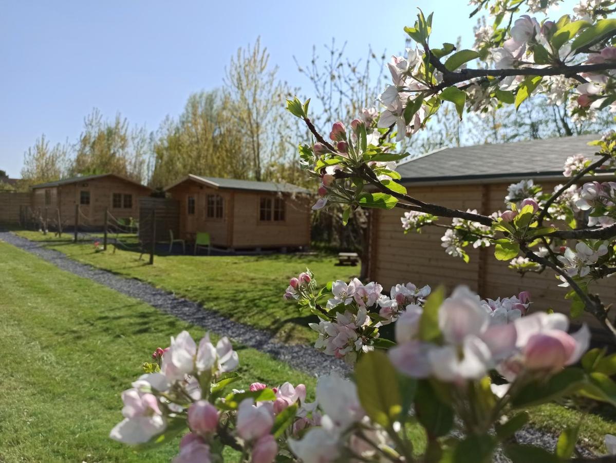 Gite Les Chalets Du Fliers Verton Meubles De Tourisme Classes 2 Etoiles Berck Eksteriør billede
