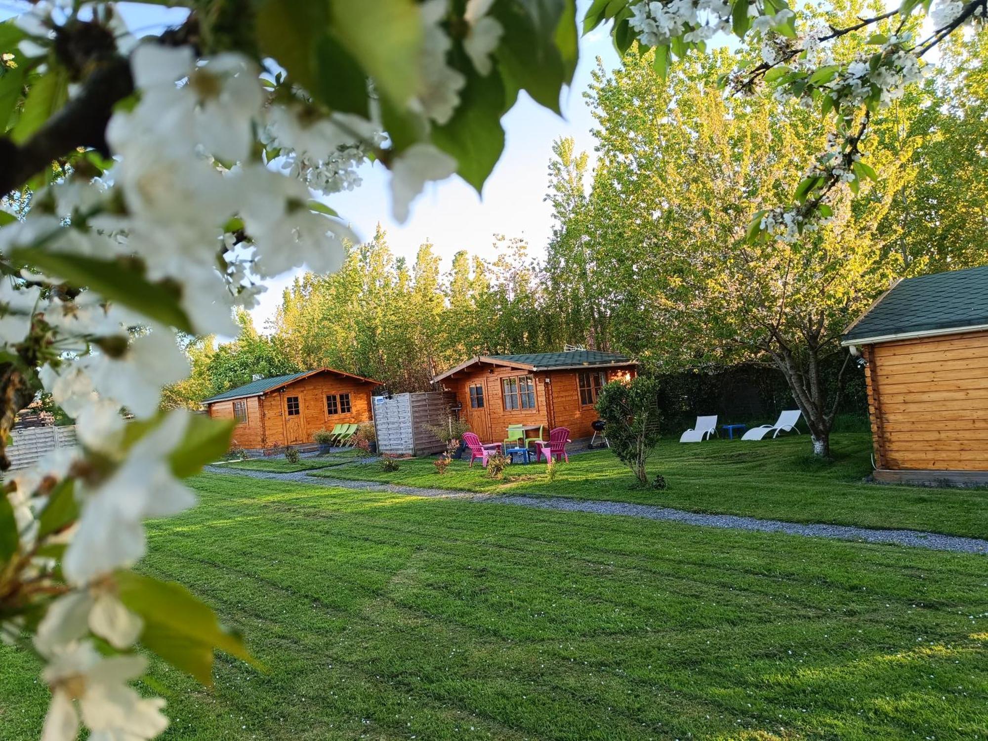 Gite Les Chalets Du Fliers Verton Meubles De Tourisme Classes 2 Etoiles Berck Værelse billede